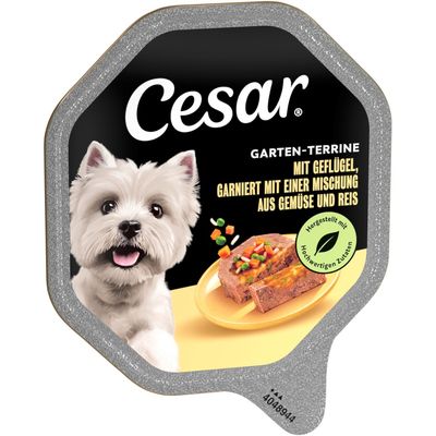 Cesar klassik-terrine, confezione da 28 vaschette da 150 g. Testo visibile: mit zartem Huhn und Truthahn, au poulet tendre et à la dinde. Immagine di terrina e cane bianco.