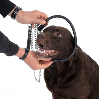 Prezentacja obroży dla psa z łańcuchem i skórzaną rączką, trzymanej przez osobę.