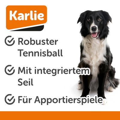 Gelber Tennisball mit Pfotenabdruck und befestigter gelber Schnur, geeignet für Wurf- und Ziehspiele.