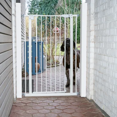 Barrière de sécurité blanche en métal installée entre deux murs, un grand chien à poil court se tient derrière la barrière sur une terrasse extérieure pavée.