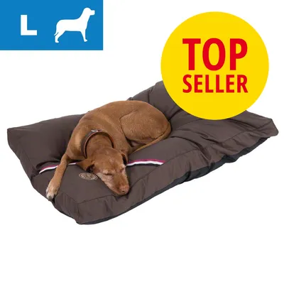 Brun hundeseng i størrelse L med sovende hund. Gul cirkel med rød tekst: TOP SELLER. Blå felt med hvidt L og hundesilhuet øverst til venstre.