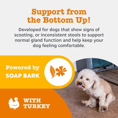 Zesty Paws Scoot Away Anal Gland Support Chews with Turkey