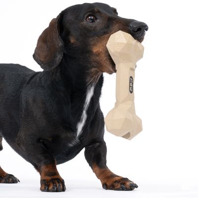 Hund håller ett beige tuggleksak i benform med texten 'Taki' i munnen.