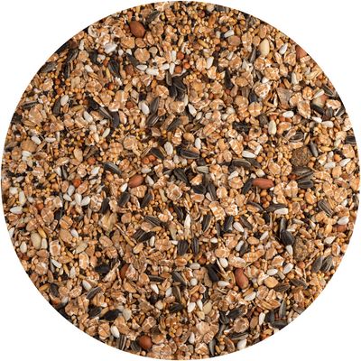 Крупный план смеси различных семян и зерен, включая подсолнечные семечки, овсяные хлопья и другие злаки.