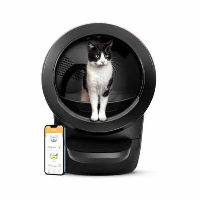 Selbstreinigende Katzentoilette Litter-Robot 4 - schwarz