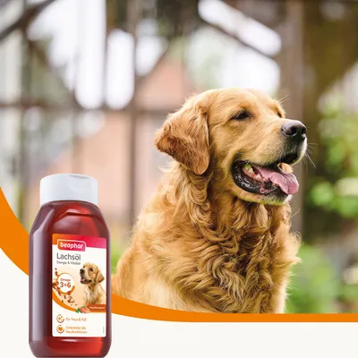 Beaphar Lachsöl mit Omega 3+6, unterstützt Herzfunktionen, für Haut und Fell. Ergänzungsfuttermittel für Hunde.