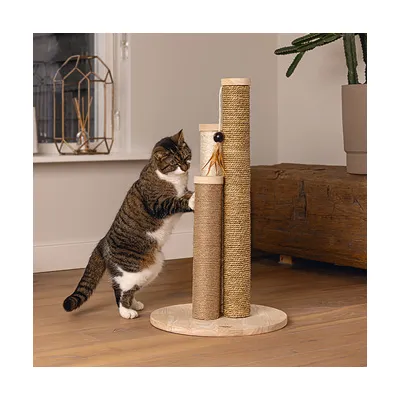 Cat tree with three sisal posts on wooden base, decorated with toy. Cat using the cat tree in the living room.
