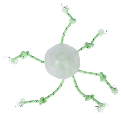 TIAKI Jouet Méduse fluorescente pour chien – 1 Pièce