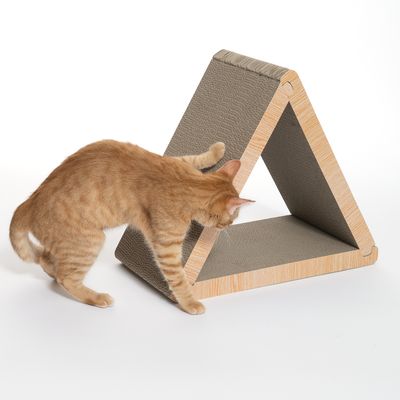 Chat roux à côté d’un griffoir en carton en forme de triangle, structure avec surface à griffer et cadre imitation bois, posé sur fond blanc.
