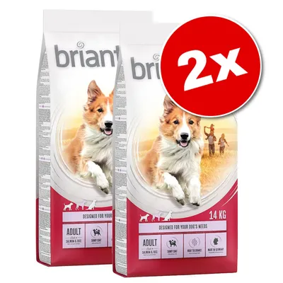Lot de 2 sacs Briantos Adult Salmon & Rice, 14 kg chacun. Texte visible : Designed for your dog's needs, Sunny Coat, High Tolerance, Made in Germany.