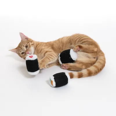 Червена котка играе с три черни плюшени играчки във форма на суши на бял фон.