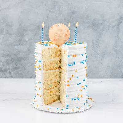 Weisse Torte mit drei brennenden Kerzen, orange-blauen Streuseln und einem Hundespielzeugball als Dekoration oben. Ein Stück der Torte ist herausgeschnitten.