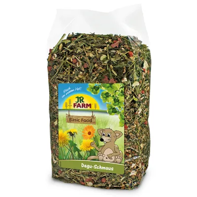 JR Farm Basic Food Degu-Schmaus, clear plastic bag with dried plant mix, label shows cartoon degu, flowers and leaves. Visible text: 'Frisch vom unserem Hof!', JR Farm, Basic Food, Degu-Schmaus.
