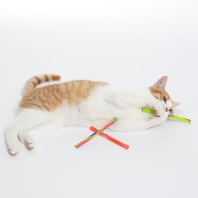 Cat playing with colourful mesh toys in green, red and yellow. Toy for cats for entertainment.