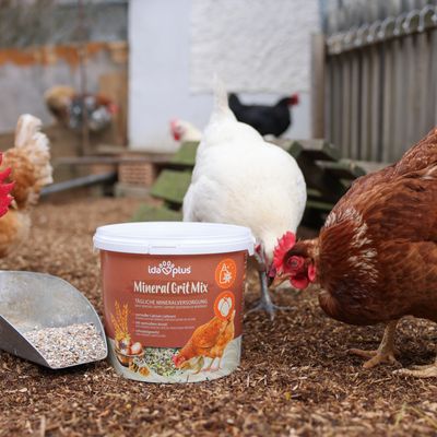 Ida Plus Mineral Grit Mix, tägliche Mineralversorgung für Hühner. Mit natürlichem Calcium, unterstützt gesunde Eierproduktion und Knochen. Eimer mit Futter und Hühner im Hintergrund.