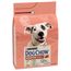 PURINA Dog Chow Adult Sensitive, łosoś 2 x 2,5 kg