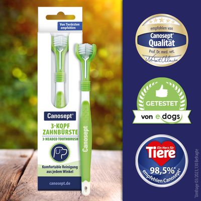 Canosept 3-hlavová zubná kefka, odporúčaná veterinármi. Pohodlné čistenie zo všetkých uhlov. Testované e-dogs. 98,5 % odporúča Canosept podľa prieskumu 03/2023.