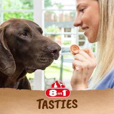 Hund tittar på ett godis, märke 8in1 Tasties. Logotyp med röd text och djursilhuetter synlig.