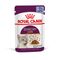 Royal Canin Sensory Taste v želé výhodné balenie: 24 × 85 g