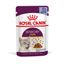Royal Canin Sensory Taste umido in Gelatina per gatti 12 x 85 g