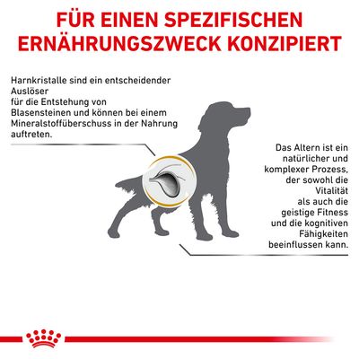 Grafik eines Hundes mit Text: Für einen spezifischen Ernährungszweck konzipiert. Harnkristalle können Blasensteine verursachen. Alter beeinflusst Vitalität, geistige Fitness und kognitive Fähigkeiten.