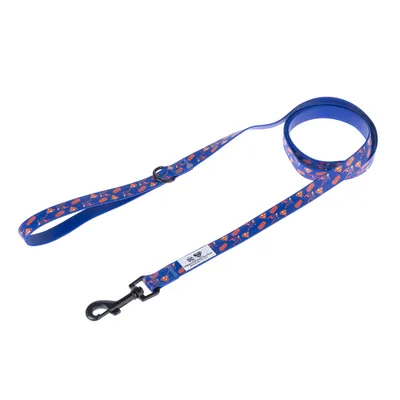 DC Superman hondenriem - 200 cm lang, 20 mm breed