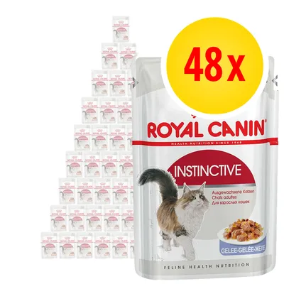 Royal Canin Instinctive wet food multipack, 48 pouches shown with product packaging and a large yellow label displaying '48x'.