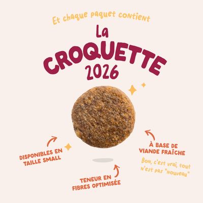 Edgard Cooper nourriture pour chiens adultes, saveur canard & poulet, 12 kg, sans céréales.