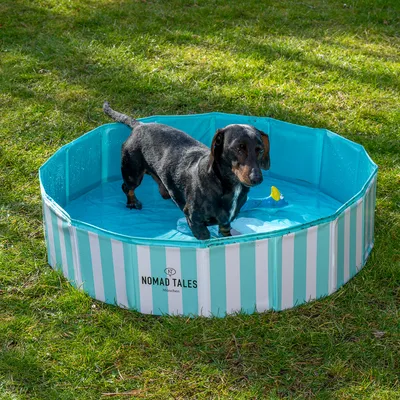 Nomad Tales Hundepool mit blau-weissem Streifendesign, Hund steht im Wasser. Markenname Nomad Tales München sichtbar auf der Poolwand.