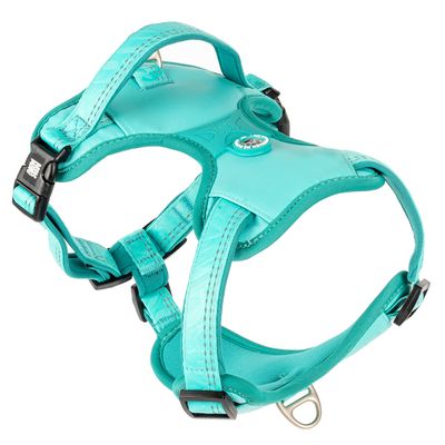 Max & Molly Sportgeschirr - Matrix 2.0, Türkis Größe S: 44 - 55 cm Brustumfang