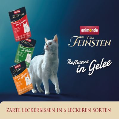 animonda Vom Feinsten Adult Raffinesse in Gelee, sachets pour chat visibles en rouge, vert et orange. Texte allemand : Zarte Leckerbissen in 6 leckeren Sorten.