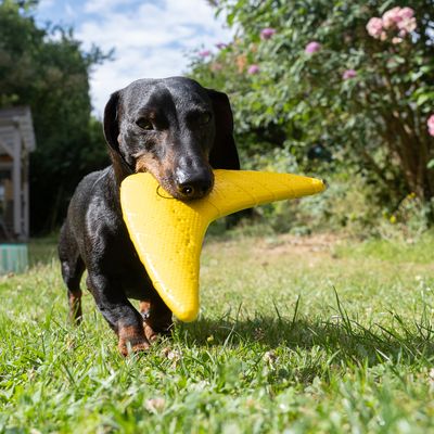 Nomad Tales Spirit vannleke Boomerang