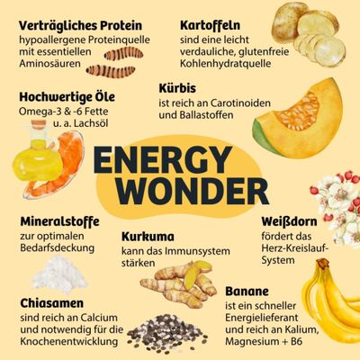 Energy Wonder: Verträgliches Protein, Kartoffeln, hochwertige Öle, Kürbis, Mineralstoffe, Kurkuma, Weißdorn, Chiasamen und Banane mit jeweiligen Vorteilen als Zutaten hervorgehoben.