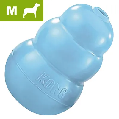 KONG hundelegetøj i blå gummi, størrelse M. Præget tekst: KONG. Grøn felt med hvidt M og hundesilhuet øverst til venstre.