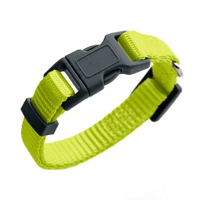 Neongelbes Halsband aus strapazierfähigem Nylon mit schwarzer Kunststoffschnalle und verstellbarer Grösse.