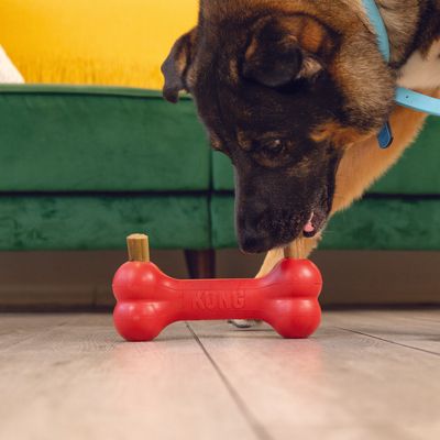 Cane gioca con gioco da masticare KONG rosso a forma di osso, riempito con snack a entrambe le estremità.