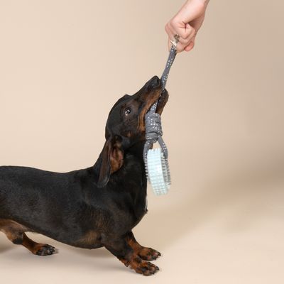 TIAKI tyggeleke med tau og nupper