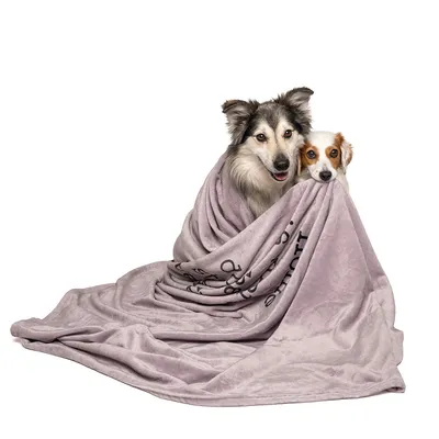 Coperta TIAKI Home per cani - L 200 x P 150 cm