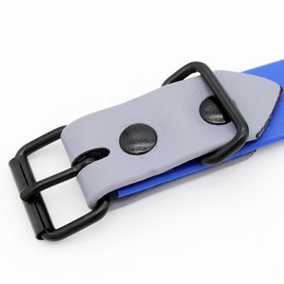 Zbliżenie na niebieską obrożę z szarą klamrą i czarnymi metalowymi zapięciami.