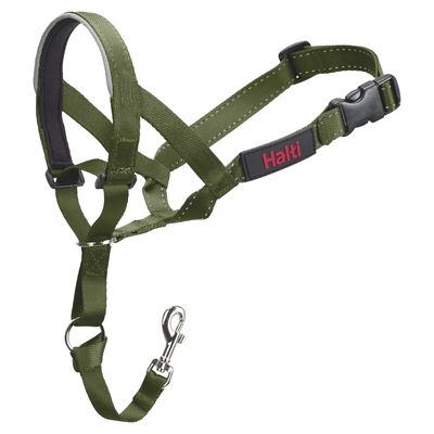 Halti licol vert forêt pour chien Taille 1 : Corgi, Schnauzer nain, Westie