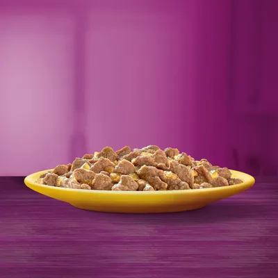Žlutý talíř s masovým mokrým krmivem, podávaný na fialovém stole.