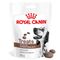 Royal Canin Gastrointestinal prigrizki Varčno pakiranje: 2 x 230 g (300 kosov)