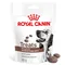 Royal Canin Gastrointestinal Snacks 230 g (150 stk)