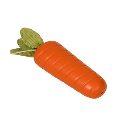 Hund mit orangefarbenem Spielzeug in Karottenform im Maul.