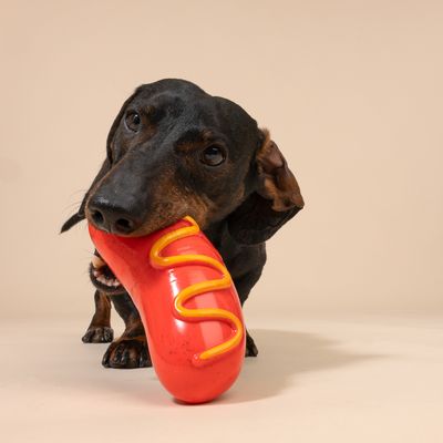 TIAKI ultra močna žvečilna igrača Hotdog