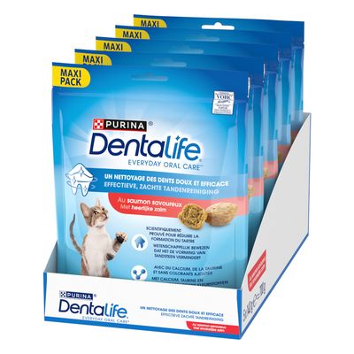Purina Dentalife Daily Oral Care pamlsky pro kočky, s kuřetem, křupavá porézní textura, balení 40 g.