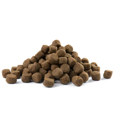 Croquettes brunes en forme de petits cylindres, présentées en tas sur fond blanc. Aucun emballage ni marque visible.