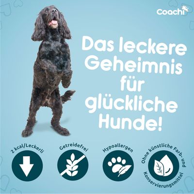 Coachi. Das leckere Geheimnis für glückliche Hunde! 2 Kcal/Leckerli, getreidefrei, hypoallergen, ohne künstliche Farb- und Konservierungsmittel.