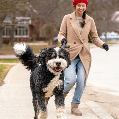 Crocchette per cani per il controllo del peso e il sostegno di articolazioni e muscoli. Sviluppate per una composizione corporea ottimale.