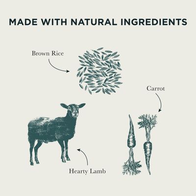 Made with natural ingredients: brown rice, lamb and carrot are shown and labelled.